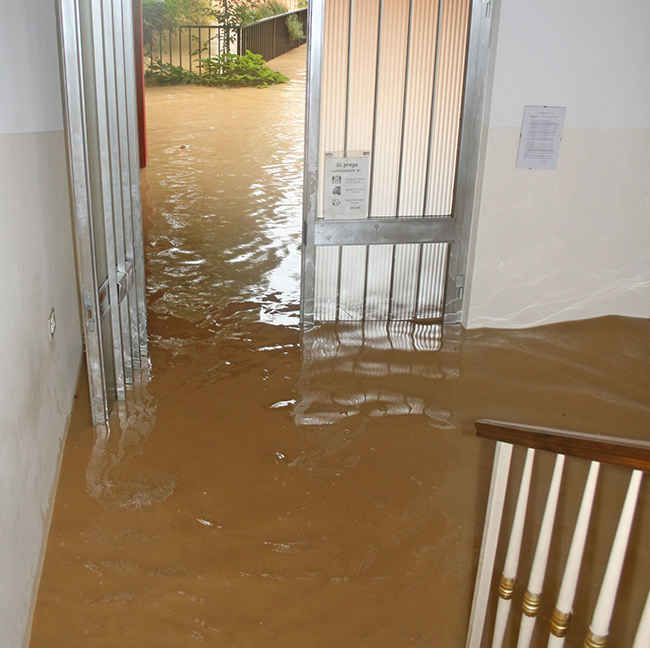 18113815 - entrance and staircase of the house invaded by mud during a flooding of the river