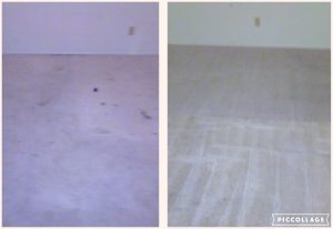 before and after carpet