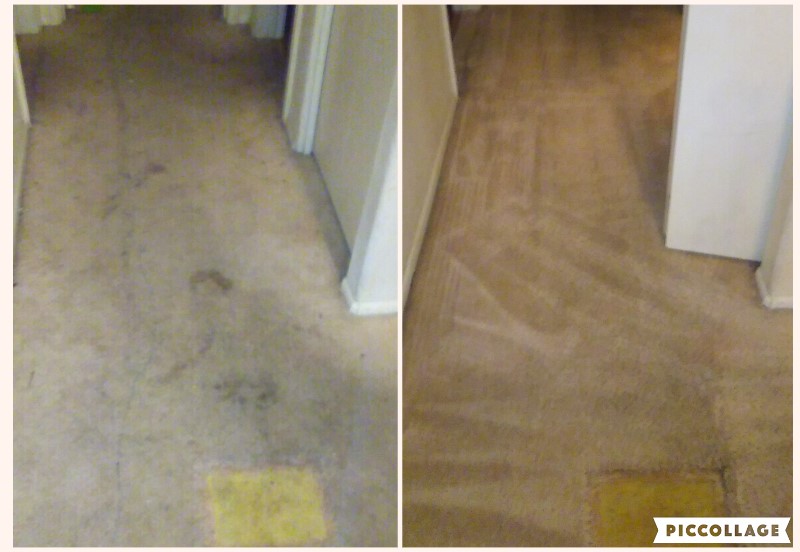 Carpet Cleaning Tucson The Most Trusted Name In Tucson Carpet Cleaning Tucson Carpet Cleaning